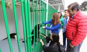 Inauguran en La Serena 1° Centro de Tenencia Responsable de Animales de Compañía de Chile