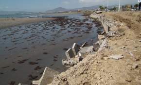 Avaluan en 450 millones de pesos los daños en Costanera de Coquimbo tras tsunami