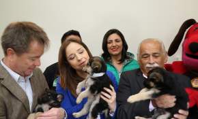Inauguran en La Serena 1° Centro de Tenencia Responsable de Animales de Compañía de Chile
