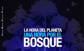 Hora del Planeta en Chile será también la hora del bosque
