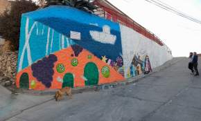 Recuperan y hermosean espacios públicos de la Parte Alta de Coquimbo [FOTOS] 