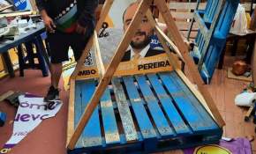 Palomas de candidato a alcalde de Coquimbo son convertidas en casas para perritos