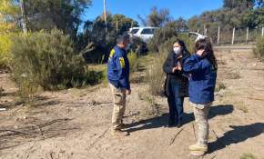 Nuevos antecedentes sobre mujer encontrada muerta en La Serena 