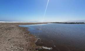 “La destrucción está hecha”: Las reacciones tras anuncio que Río Elqui podría ser humedal