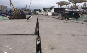 Gremio constructor entrega 150 kits de emergencia para remover escombros en Coquimbo