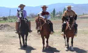  En Coquimbo nace centro terapéutico que usa caballos para tratar dolencias