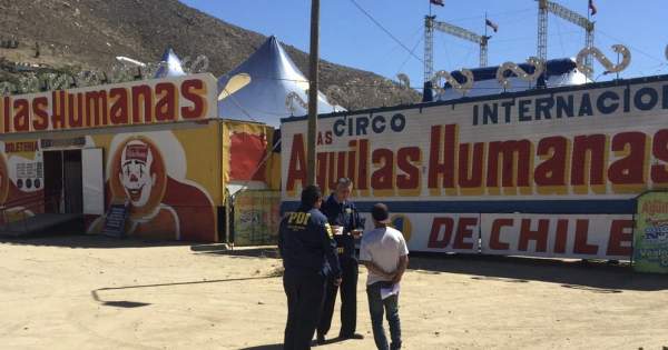 Infraccionan a sujeto que trabaja en circo "Las Águilas Humanas" | El Observatodo.cl, Noticias de La Serena y Coquimbo